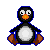 pingi